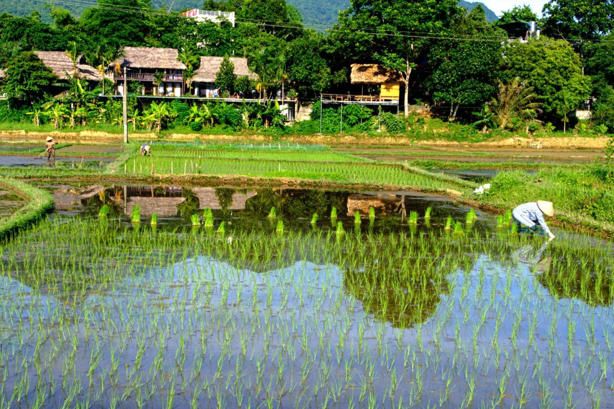 Nha Tan - Mai Chau Homestay And Tours Exterior foto