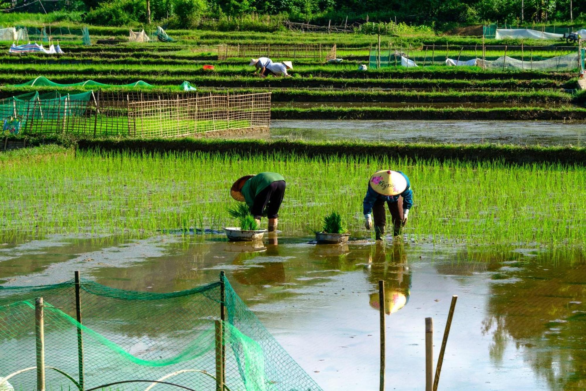 Nha Tan - Mai Chau Homestay And Tours Exterior foto